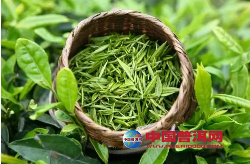 <u><a href='http://www.puer10000.com/puerzhishi/32854.html' target='_blank'>普洱<u><a href='http://www.puer10000.com/puerzhishi/100997.html' target='_blank'>茶</a></u></a></u>