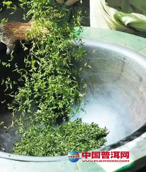 普洱茶