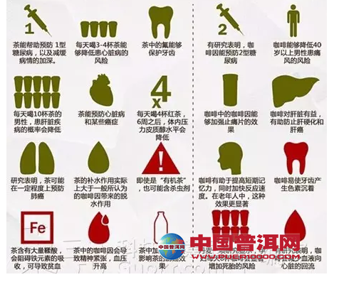 普洱茶