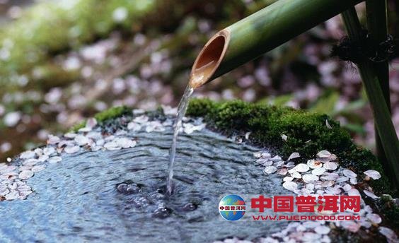 普洱茶