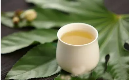 普洱茶