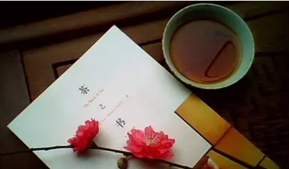 普洱茶