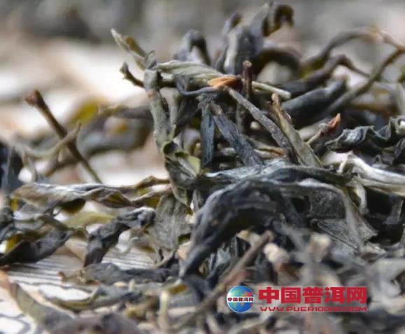 普洱茶