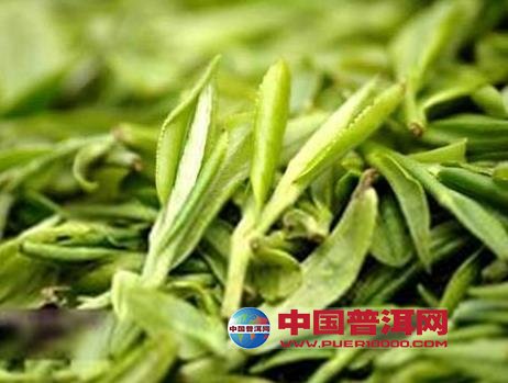 普洱茶