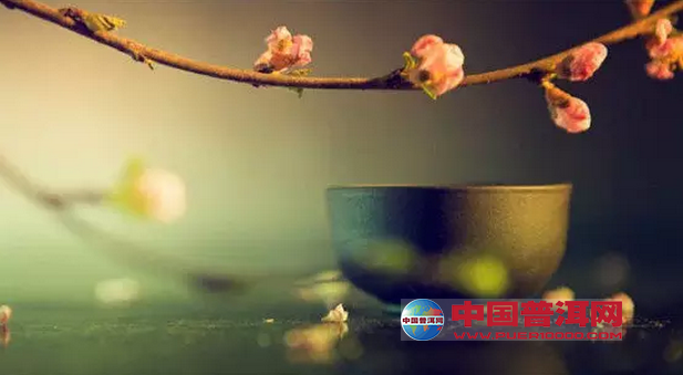 普洱茶