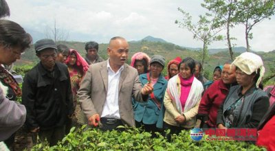 云南沧源佤族自治县建设生态茶