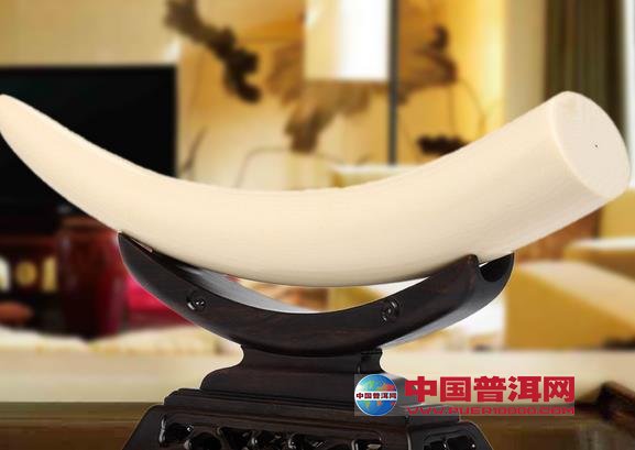 普洱茶