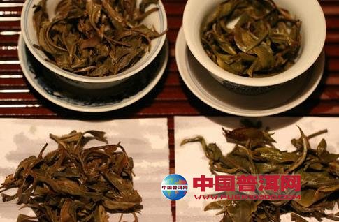 普洱茶