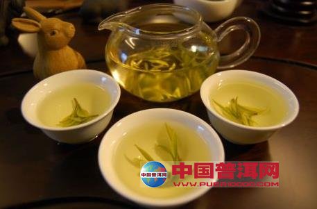 普洱茶