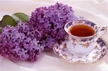 普洱茶