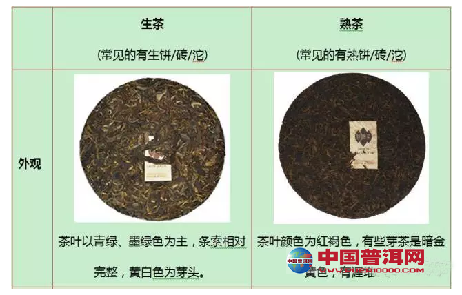 普洱茶