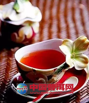 普洱茶