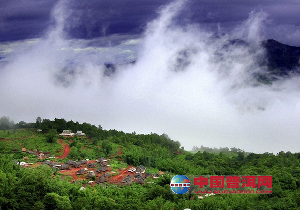 <u><a href='http://www.puer10000.com/puerzhishi/32854.html' target='_blank'>普洱<u><a href='http://www.puer10000.com/puerzhishi/100997.html' target='_blank'>茶</a></u></a></u>
