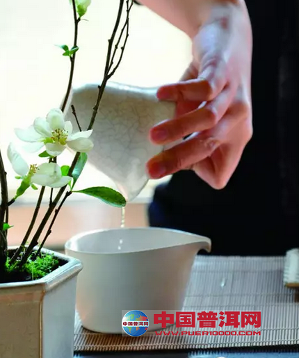 <u><a href='http://www.puer10000.com/puerzhishi/32854.html' target='_blank'>ն<u><a href='http://www.puer10000.com/puerzhishi/100997.html' target='_blank'></a></u></a></u>