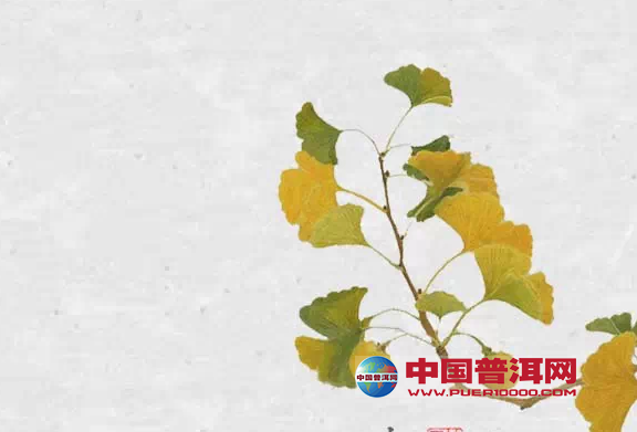 <u><a href='http://www.puer10000.com/puerzhishi/32854.html' target='_blank'>普洱<u><a href='http://www.puer10000.com/puerzhishi/100997.html' target='_blank'>茶</a></u></a></u>