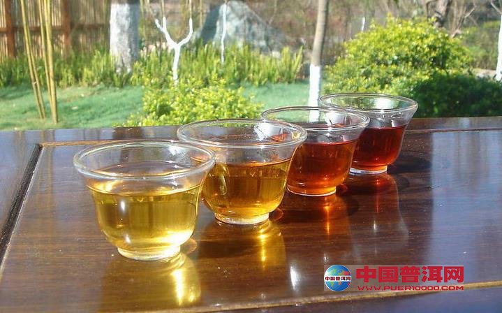 普洱茶