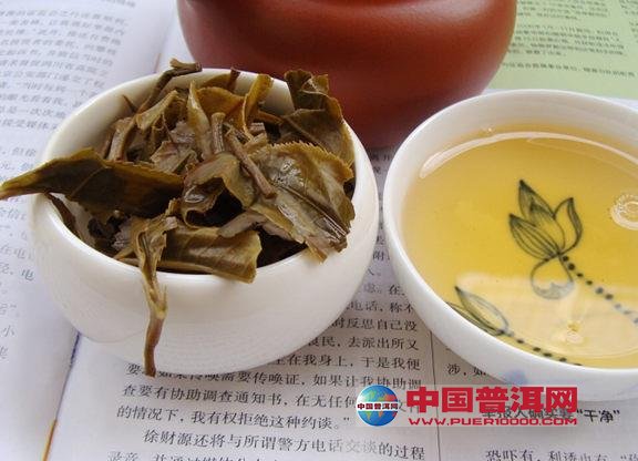 普洱茶