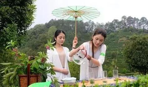 普洱茶