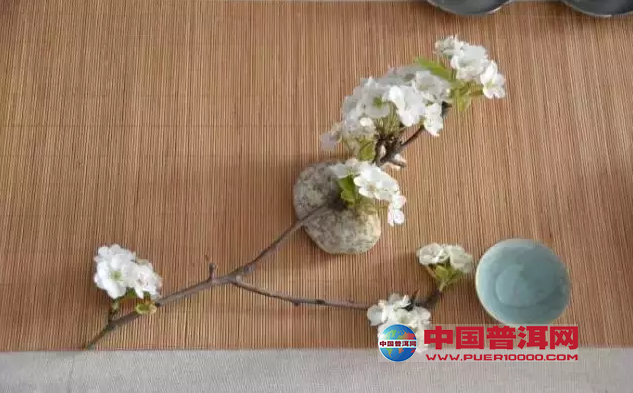 普洱茶