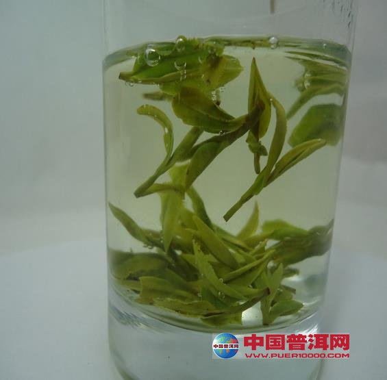普洱茶