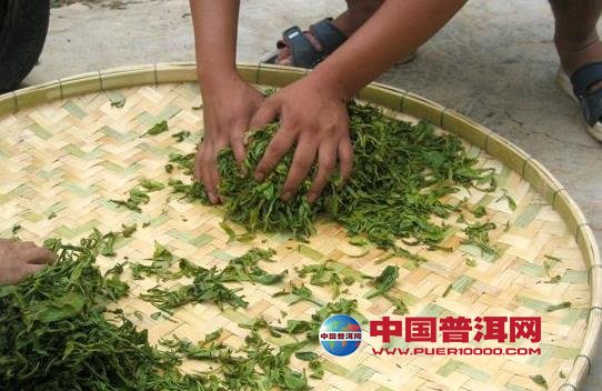 普洱茶