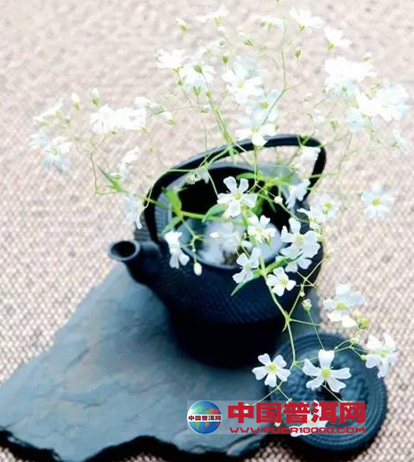 普洱茶