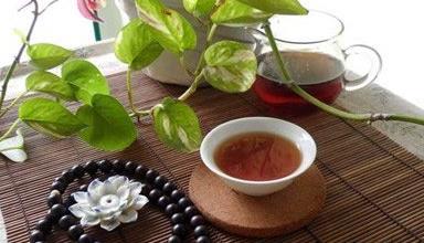 <u><a href='http://www.puer10000.com/puerzhishi/32854.html' target='_blank'>普洱<u><a href='http://www.puer10000.com/puerzhishi/100997.html' target='_blank'>茶</a></u></a></u>