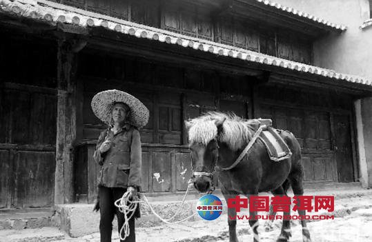 <u><a href='http://www.puer10000.com/puerzhishi/32854.html' target='_blank'>普洱<u><a href='http://www.puer10000.com/puerzhishi/100997.html' target='_blank'>茶</a></u></a></u>