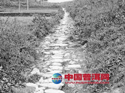 <u><a href='http://www.puer10000.com/puerzhishi/32854.html' target='_blank'>普洱<u><a href='http://www.puer10000.com/puerzhishi/100997.html' target='_blank'>茶</a></u></a></u>