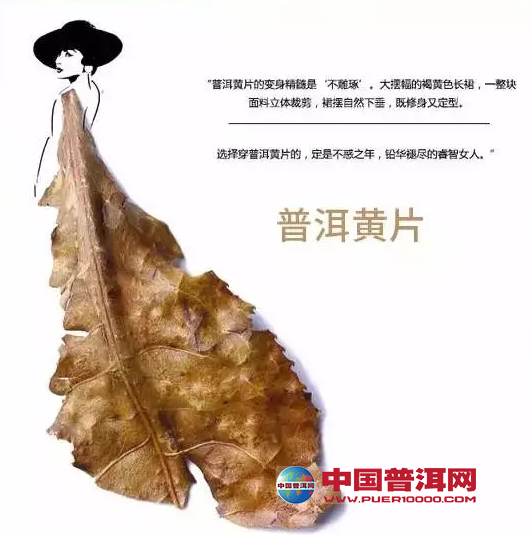 <u><a href='http://www.puer10000.com/puerzhishi/32854.html' target='_blank'>普洱<u><a href='http://www.puer10000.com/puerzhishi/100997.html' target='_blank'>茶</a></u></a></u>