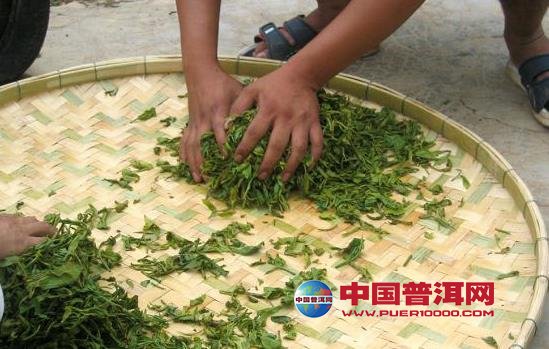 普洱茶
