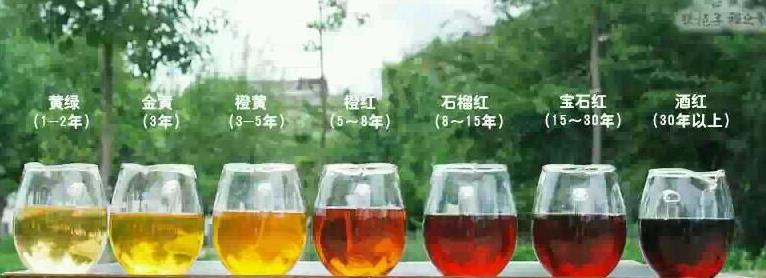 普洱茶