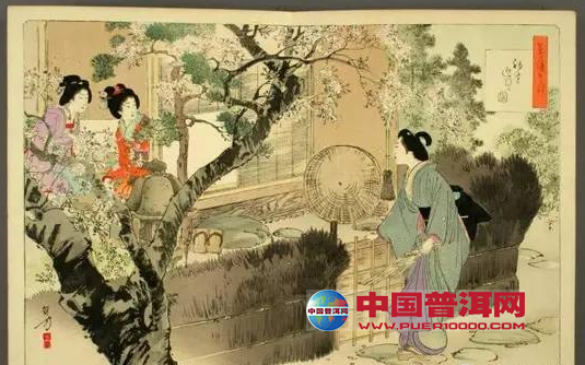 <u><a href='http://www.puer10000.com/puerzhishi/32854.html' target='_blank'>普洱茶</a></u>