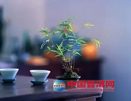 <u><a href='http://www.puer10000.com/puerzhishi/32854.html' target='_blank'>ն<u><a href='http://www.puer10000.com/puerzhishi/100997.html' target='_blank'></a></u></a></u>