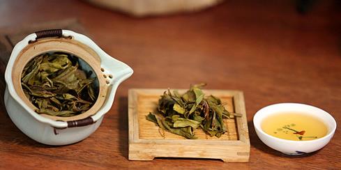 普洱茶
