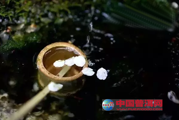 <u><a href='http://www.puer10000.com/puerzhishi/32854.html' target='_blank'>普洱<u><a href='http://www.puer10000.com/puerzhishi/100997.html' target='_blank'>茶</a></u></a></u>