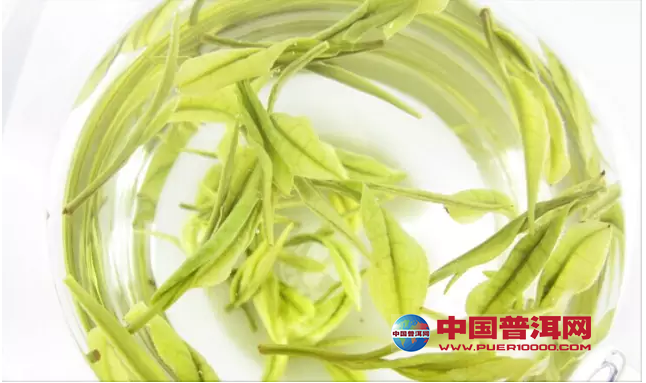 <u><a href='http://www.puer10000.com/puerzhishi/32854.html' target='_blank'>普洱<u><a href='http://www.puer10000.com/puerzhishi/100997.html' target='_blank'>茶</a></u></a></u>