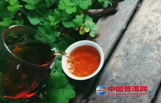 <u><a href='http://www.puer10000.com/puerzhishi/32854.html' target='_blank'>ն<u><a href='http://www.puer10000.com/puerzhishi/100997.html' target='_blank'></a></u></a></u>