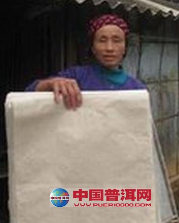 普洱茶