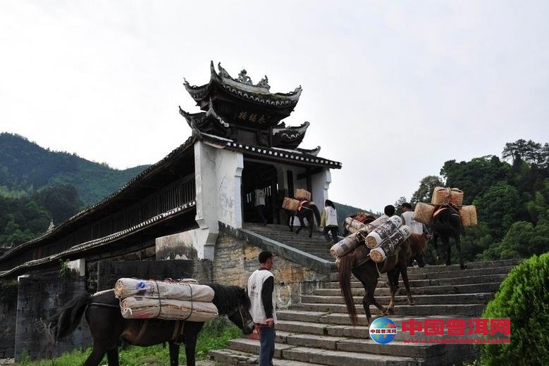 <u><a href='http://www.puer10000.com/puerzhishi/32854.html' target='_blank'>普洱<u><a href='http://www.puer10000.com/puerzhishi/100997.html' target='_blank'>茶</a></u></a></u>