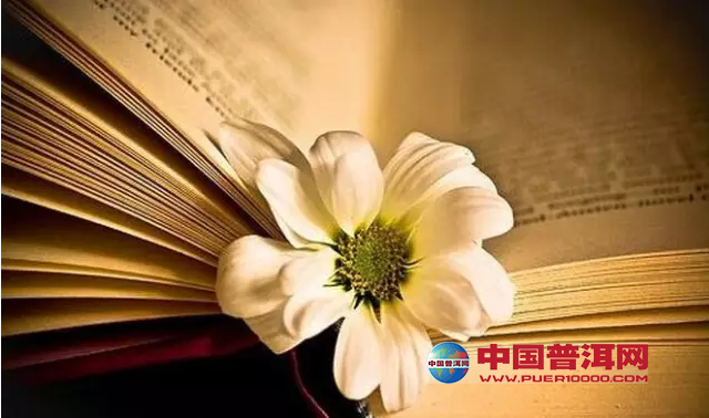 <u><a href='http://www.puer10000.com/puerzhishi/32854.html' target='_blank'>普洱<u><a href='http://www.puer10000.com/puerzhishi/100997.html' target='_blank'>茶</a></u></a></u>
