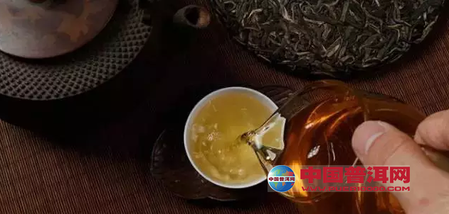 普洱茶
