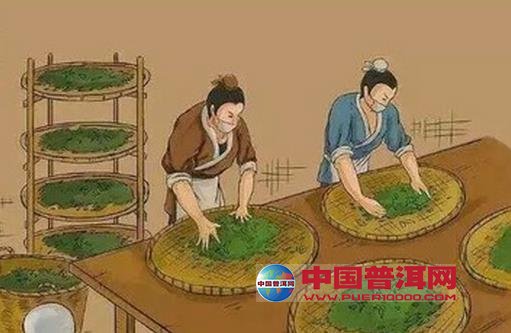 普洱茶