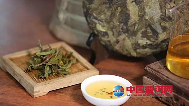普洱茶