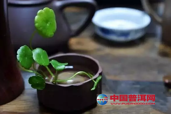 <u><a href='http://www.puer10000.com/puerzhishi/32854.html' target='_blank'>普洱<u><a href='http://www.puer10000.com/puerzhishi/100997.html' target='_blank'>茶</a></u></a></u>