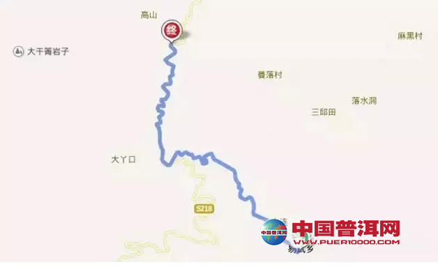 普洱茶