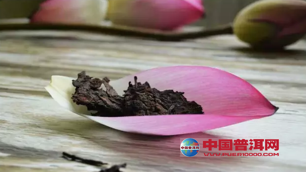 普洱茶