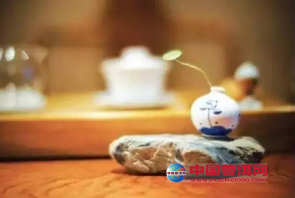 <u><a href='http://www.puer10000.com/puerzhishi/32854.html' target='_blank'>ն<u><a href='http://www.puer10000.com/puerzhishi/100997.html' target='_blank'></a></u></a></u>