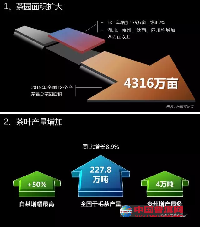 普洱茶