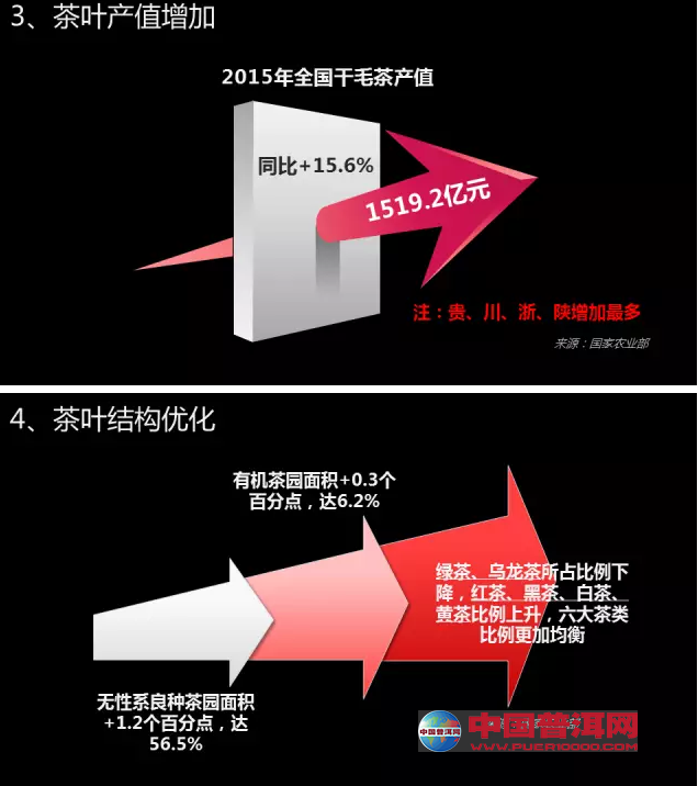 普洱茶
